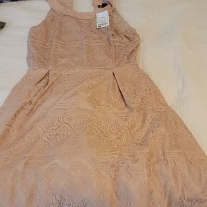 Lace petite dress